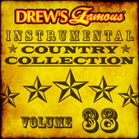 Man! I Feel Like A Woman - Instrumental