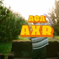 AXR