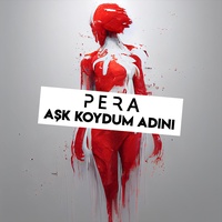 Aşk Koydum Adını