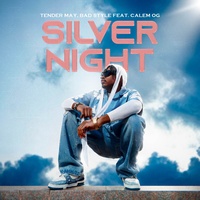 Silver Night - Urban Edition