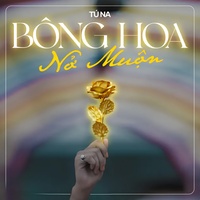 Bông Hoa Nở Muộn