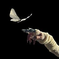 Sweet Disposition (ARTBAT Remix.)