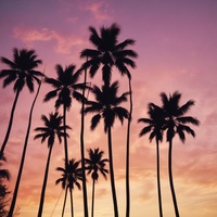 Colors In The Sky