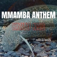 Mmamba Anthem