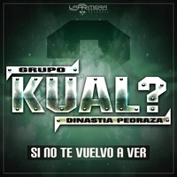 Si No Te Vuelvo a Ver