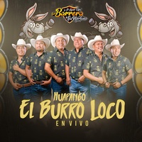 Huapango El Burro Loco
