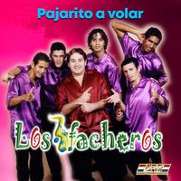 Quiero Que Me Quieras