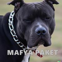 Bela - Mafia ve Mafya