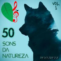 Lobos Uivando (Efeito Sonoro)