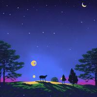 Night Song