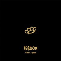 Tersox (Slowed + Reverb)