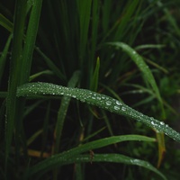 เสียงธรรมชาติผ่อนคลาย