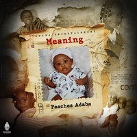 Meaning