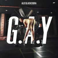 G.A.Y o(T^T)o