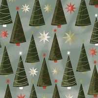 Santa Claus Time