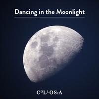 Dancing in the Moonlight - Lofi