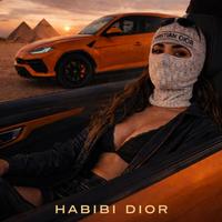 Habibi / حبيبي (Arabic Deep House)