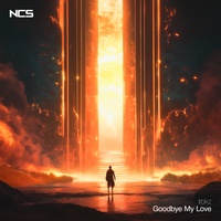 Goodbye My Love