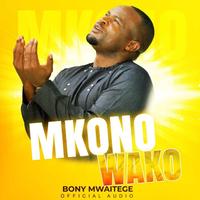 Mkono Wako