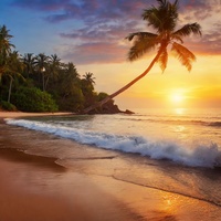 Beachside Melody