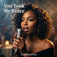 You Took My Peace