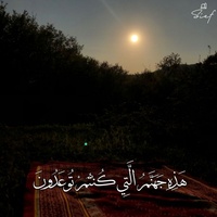 هذه جهنم التي كنتم توعدون