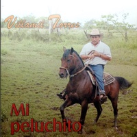 Mi Patrona