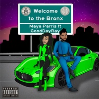 Welcome to the Bronx