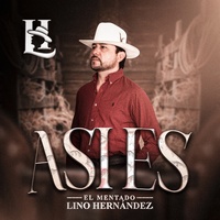 Asi Es