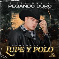 Homenaje a Lupe y Polo - Live