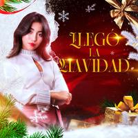 Llego la Navidad