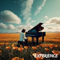 Experience