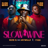 SLOW WINE