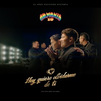 Hoy quiero olvidarme de ti
