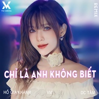 Chỉ Là Anh Không Biết 1