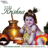 Shri Krishna Mantra