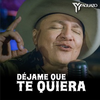 Déjame Que Te Quiera