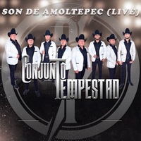 Son De Amoltepec (Live)
