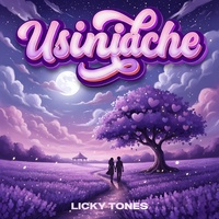 Usiniache - Acoustic