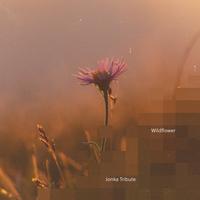 Wildflower (Cover)