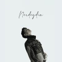 Nerdeydin