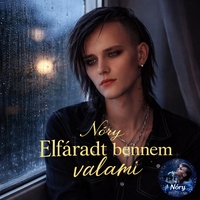 Elfáradt bennem valami