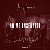 No Me Enseñaste
