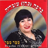 מטר מטר