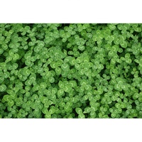 좋은 하루 되세요