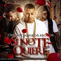 Si No Te Quiere - Remix