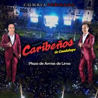 Tu eres (En Vivo)