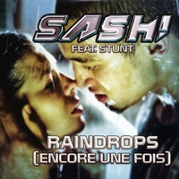 Raindrops (Encore une fois Pt. II) - Extended Mix