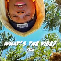 What's The Vibe?