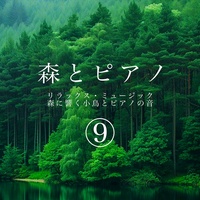 Forest Relax